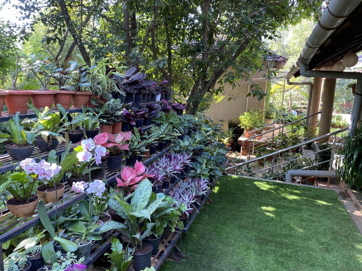 Peace Lily Cottage Karjat Exterior foto